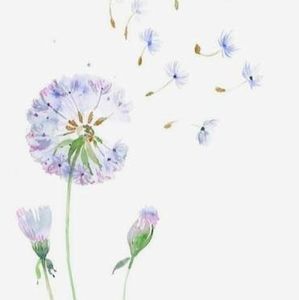 Meet your Posher, Dale